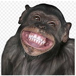 FuNNTub