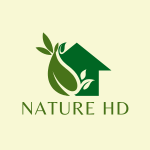 Natural videos