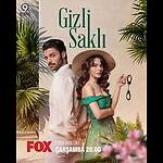 Gizli Saklı Brasil