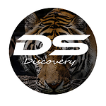 DS Discovery