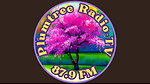 Plumtree Radio TV