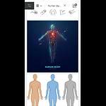 Kenhub - Learn Human Anatomy