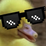 Most Wanted Duck :: Hacking Stuff