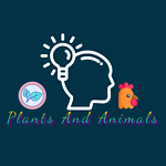 Plants And Animals