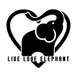 Live Love Elephant