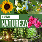 Incrível Natureza