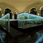 Rangers in the Forest