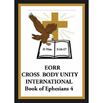 APOSTLE TAVEAU D'ARCY TEAMMATE UNIVERSITY CROSS BODY UNITY