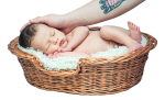 Your Baby's First Year