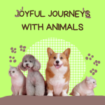 Joyful Journeys with Animals