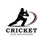 Cricket info