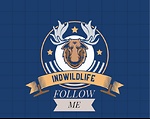 INDWILDLIFE