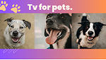 PetPalsTV