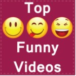 funny videos