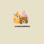Exploring the World of Living Creatures