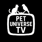Pet Universe TV