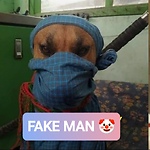 FakeFact11