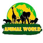 animal wolrd