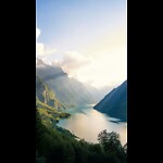 natural videos