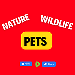 Nature ,Wildlife and pets