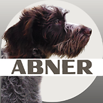 Mr. Abner