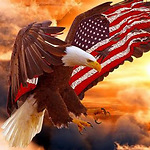 FREEDOM OF AMERICA 1776 2.0