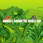 Animals around the World 360