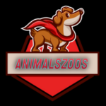 AnimalsZoos