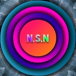 N.S.N. Studio