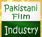 Pakistani top rated movies