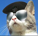 Truth Cat Radio Videos