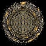 MysticalJourneyOfConsciousness🚨🛸