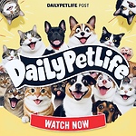 Daily Pet Life