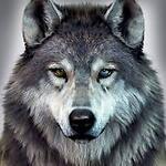 Lonewolf368 Tech ,Gaming, News and Music