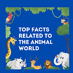 Top Facts related to the animal world