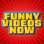 Funny videos