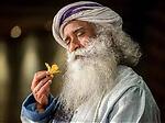 Sadhguru