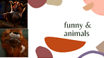 animals and funni