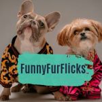 FunnyFurFlicks