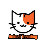 Animal Trending