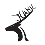 Hoang Anh Insight Channel