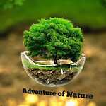 Adventure of Nature