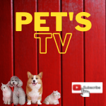 Pet's tv