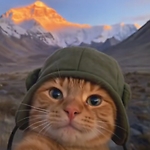 Brutal cat