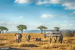 EXPLORINGAFRICA
