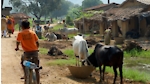 Villages and Pets of India