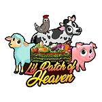 Lil Patch Of Heaven Farm