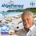 The AngelPreneur