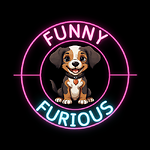 Funny and Furious