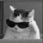 Hehe is Fukked